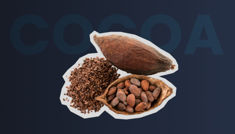 cocoa price in October